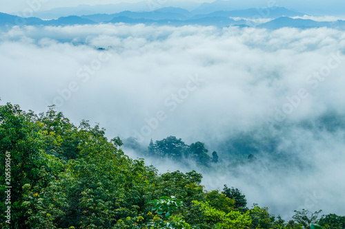 slow floating fog blowing cover on the top of mountain look like as a sea of mist. In the morning the cold weather is make floating fog on the mountain as a sea of mist © Narong Niemhom