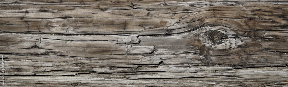 Old Dark rough wood floor or surface with splinters and knots. Square background with flooring or boards with wood grain. Old aged timber in a barn or old house. Old Dark rough wood floor or surface with splinters and knots. Square background with flooring or boards with wood grain. Old aged timber in a barn or old house.