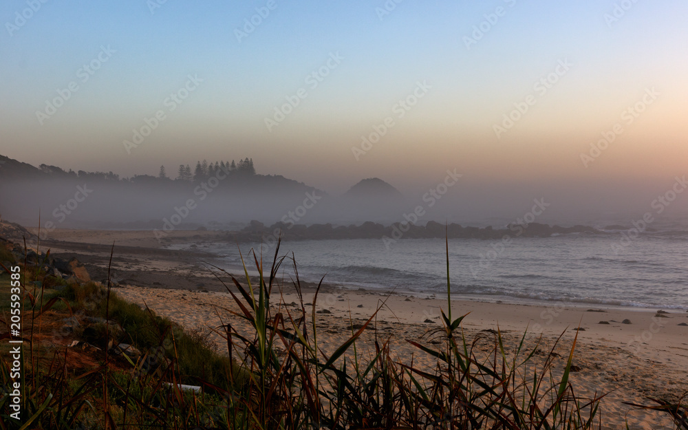 Misty Shelly Beach, early morning