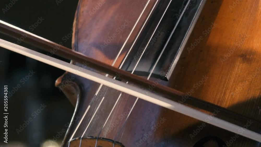 Cellist plays with the bow on the cello. Closeup shot Cellist plays with the bow on the cello. Closeup shot