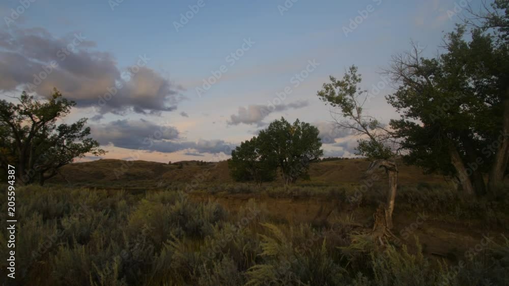 Pan of sagebrush and cottonwood trees before sunrise Pan of sagebrush and cottonwood trees before sunrise