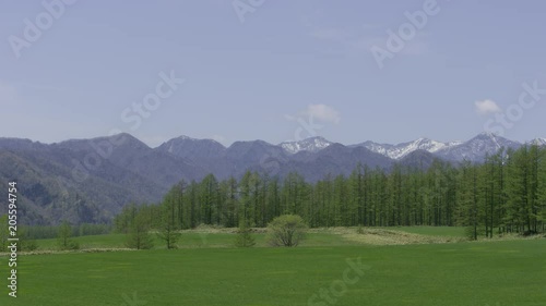 酪農 牧草地