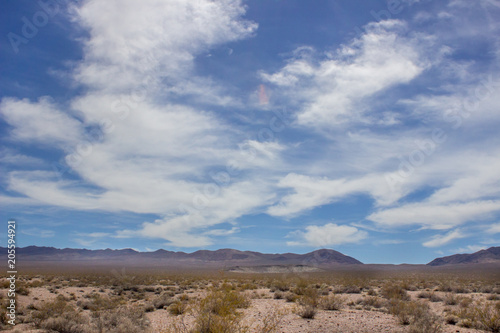 Desert Landscape with Cactus