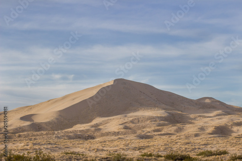 Desert Sand Dunes and Cactus Landscape