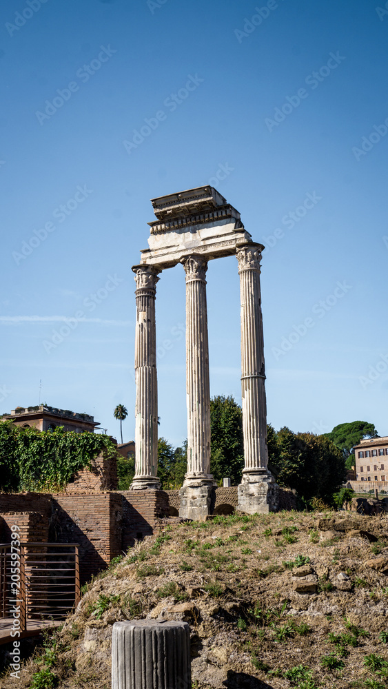 Remains of the Temple of Castor and Pollux in the Roman Forum, Rome, Italy