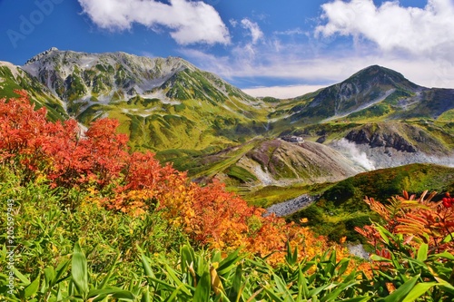 Tateyama / Japan   ~   Autumn photo