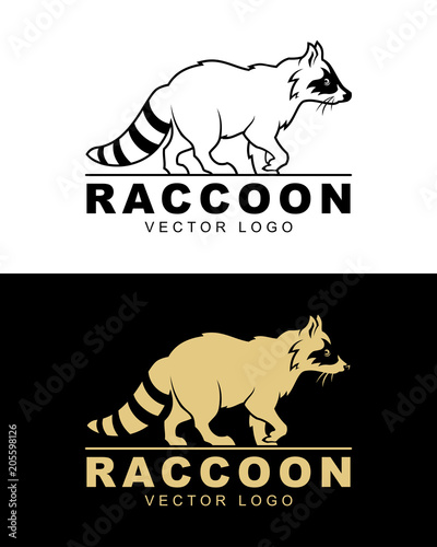 Raccoon vector logo illustration photo