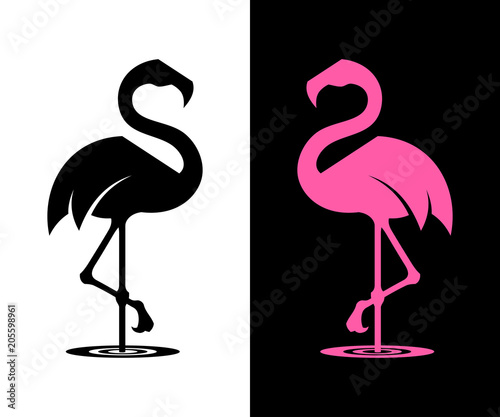 Vector flamingo silhouette photo