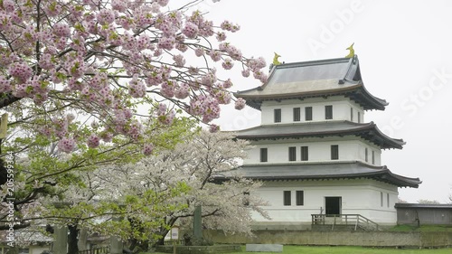 松前城の桜