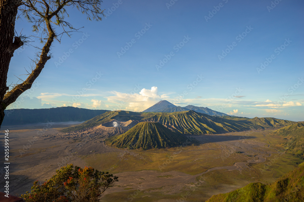 Beautiful view landscape of active volcano crater with smoke at Mt. Bromo, East Java, Indonesia.	