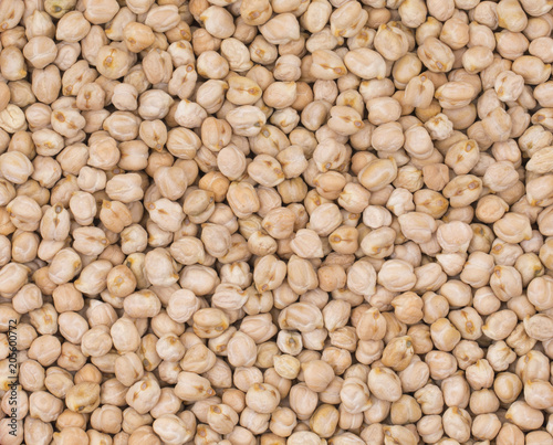 Fotografija Group of White Chick Pea or Kabuli Chana
