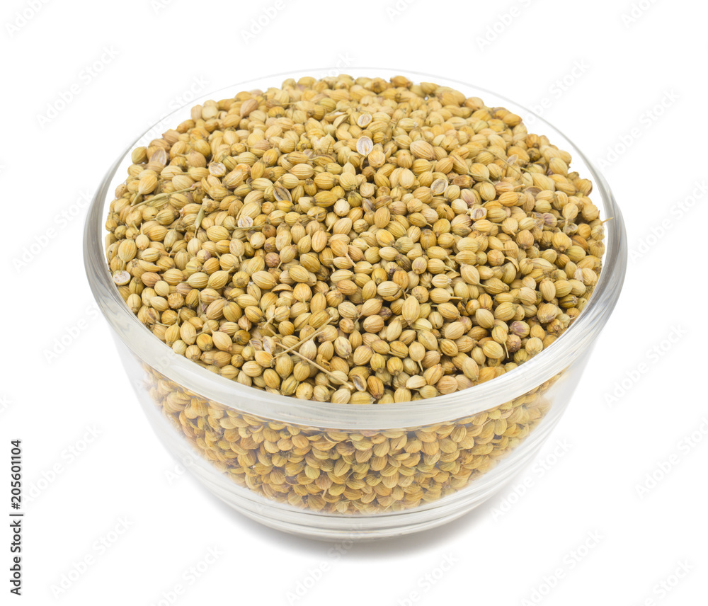 Dried Coriander Seeds or Dhaniya isolated on White Background Dried Coriander Seeds or Dhaniya isolated on White Background