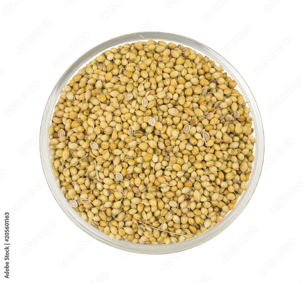 Dried Coriander Seeds or Dhaniya isolated on White Background Dried Coriander Seeds or Dhaniya isolated on White Background