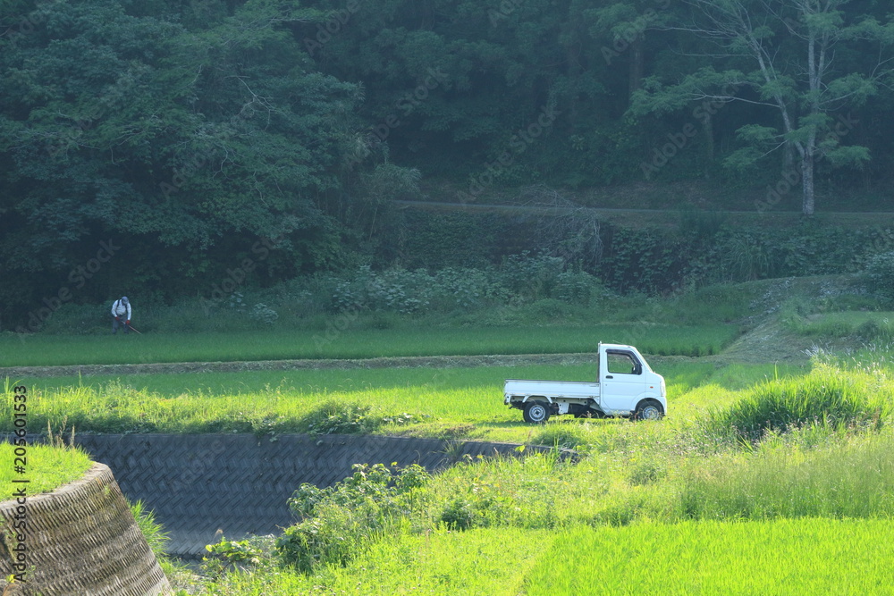 軽トラのある風景