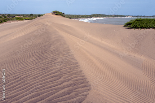 Desert and the sea, sand dune, sand texture