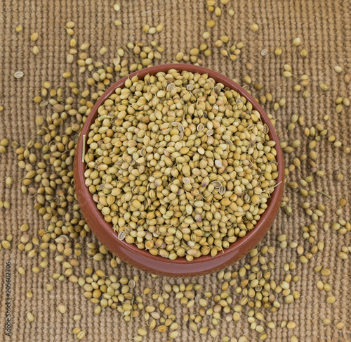 Dried Coriander Seeds or Dhaniya
