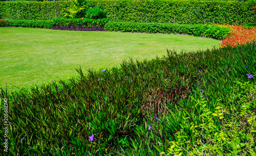 Fotografija Green lawn, The front lawn for background, Garden landscape design