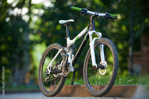 Mountain bike parked near paved roadside in green sunny park. Conept of healthy lifestyle, outdoor activities, training, fitness. © anatoliy_gleb