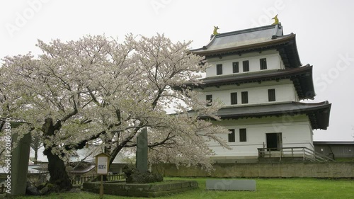 松前城の桜