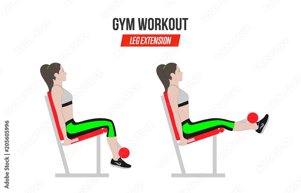 Leg extension. Leg extension in the simulator. Sport exercises. Exercises  in a gym. Illustration of an active lifestyle. Vector Stock Vector