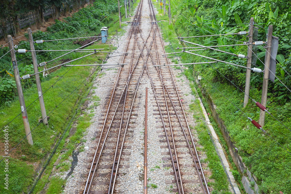 Fototapeta premium Railway track with green plants along both side during day