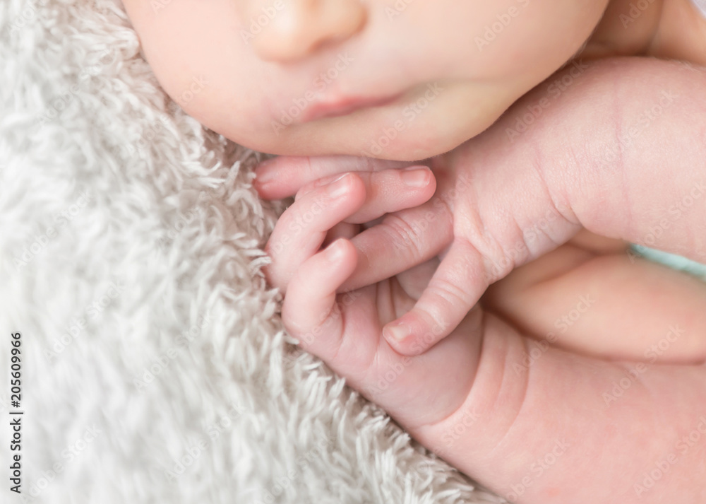 Close-up of newborn tiny hands Close-up of newborn tiny hands