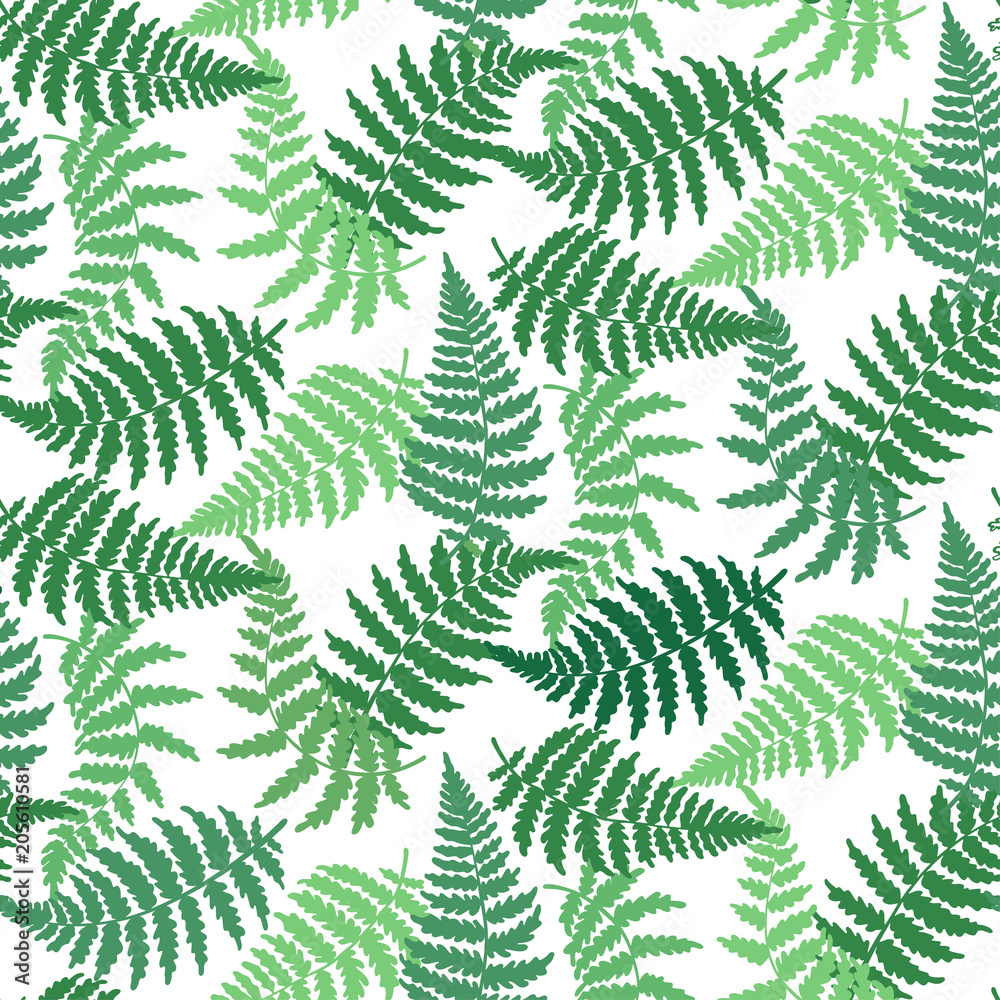 Vector pattern illustration of fern leaf