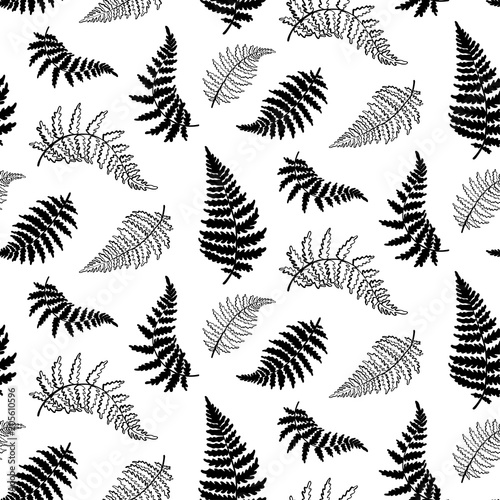 Vector pattern illustration of fern leaf