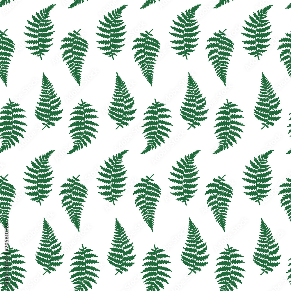 Vector pattern illustration of fern leaf