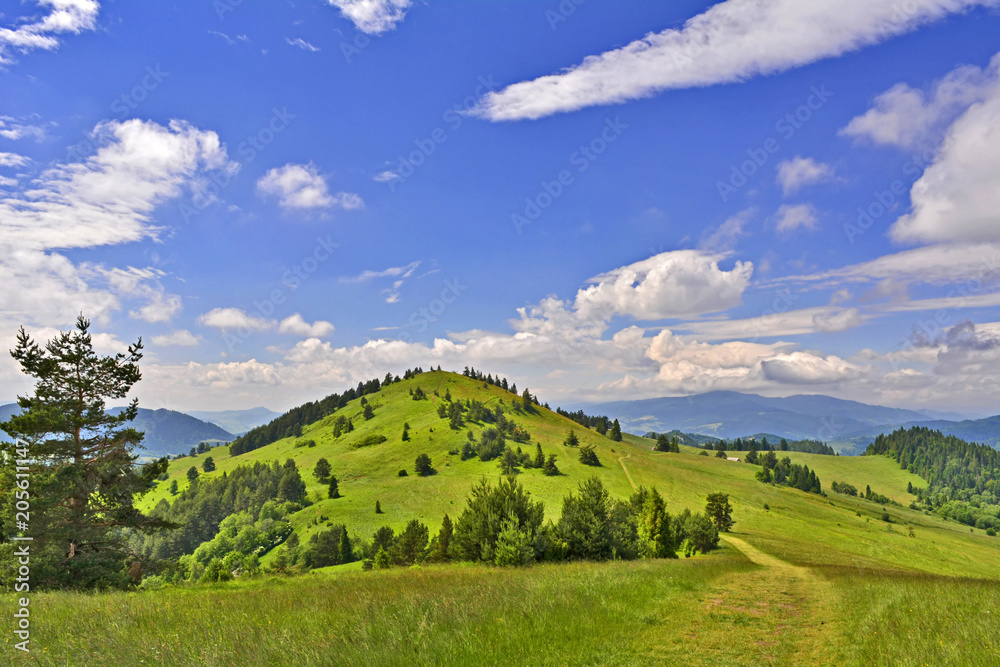 Summer  landscape in Pieniny mountains, near to Szczawnica, Poland