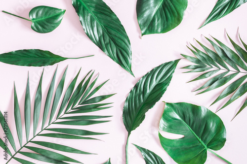 Summer tropical composition. Green tropical palm leaves on pastel pink background. Summer concept. Flat lay  top view
