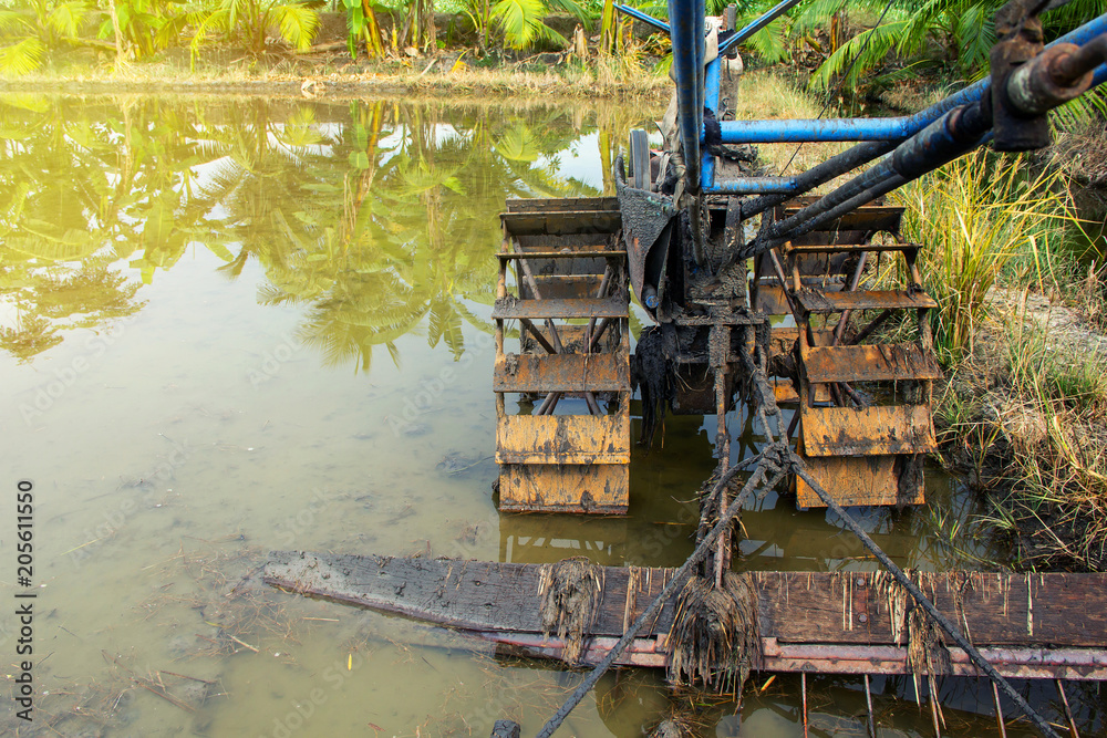Fototapeta premium View of the farmer user in Old style Machine for lowing field or Walking tractor in field full of mud and water.