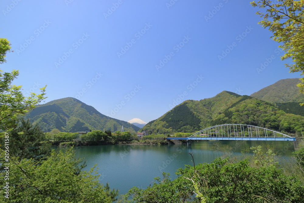 丹沢湖大仏大橋と富士山
