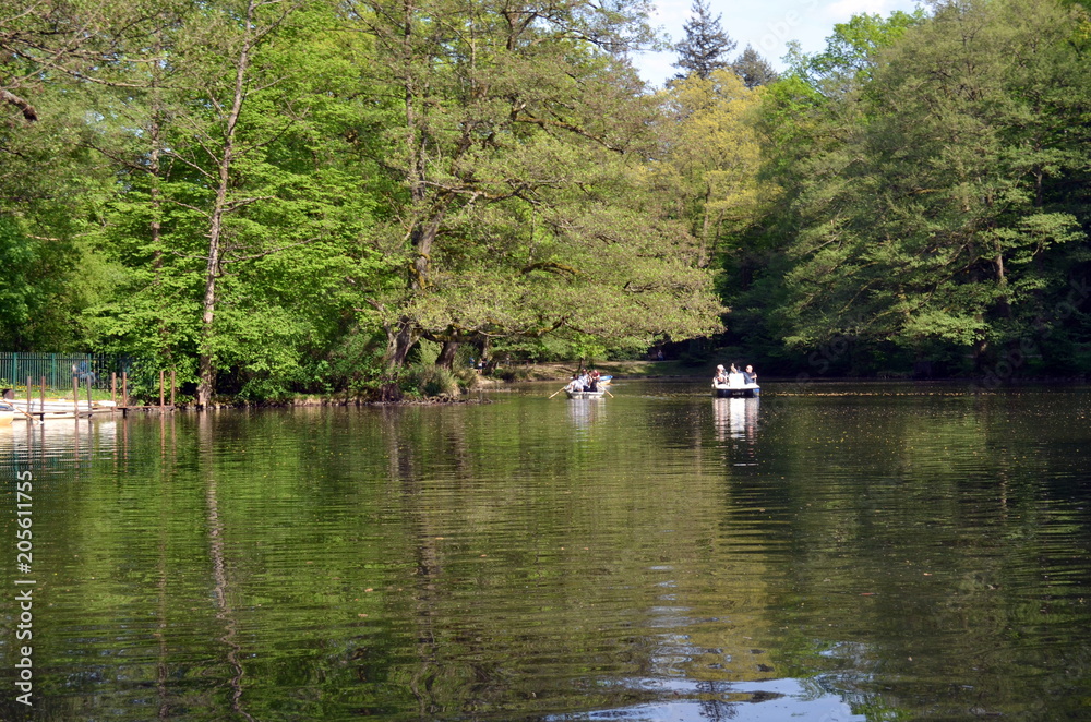 Waldsee in Freiburg