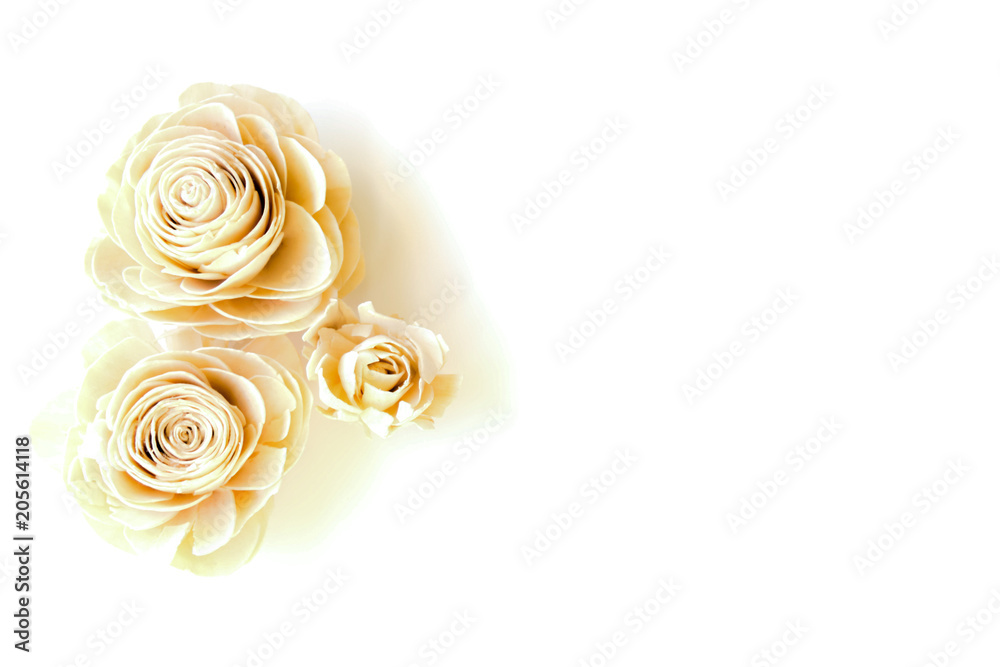 three artificial roses on a white background three artificial roses on a white background