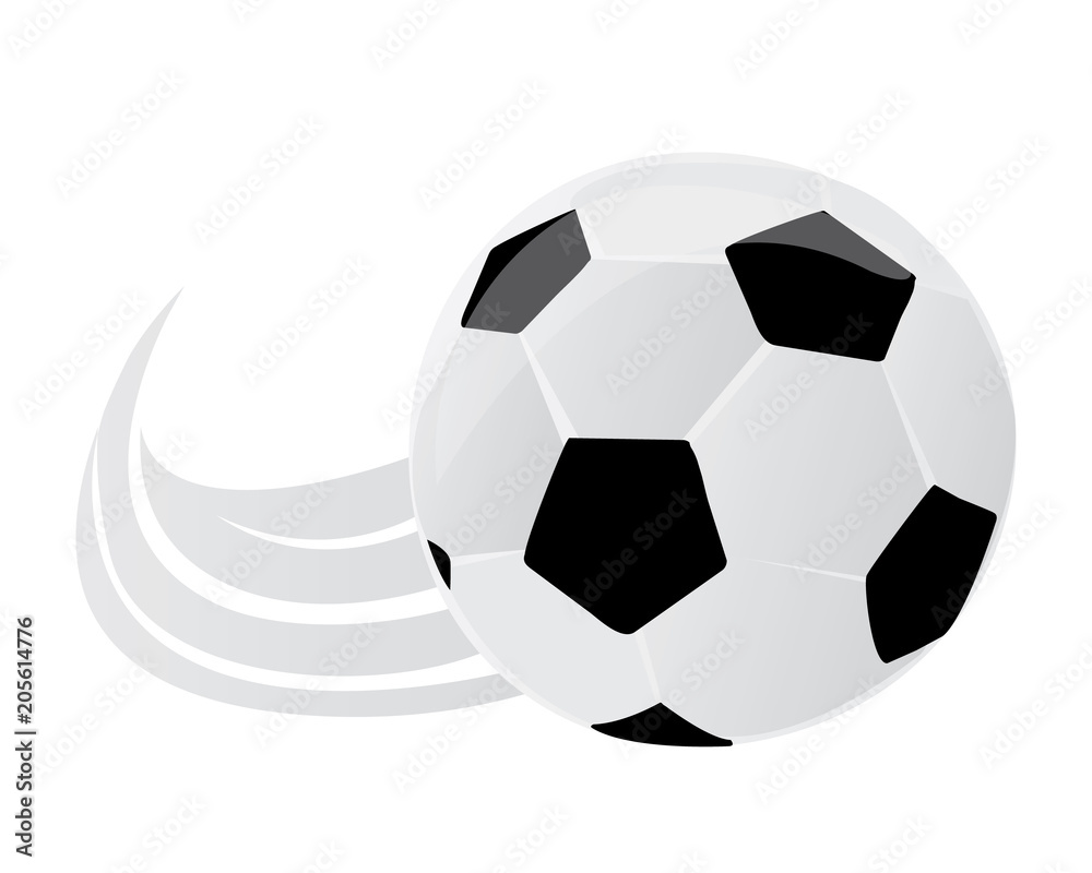 Fototapeta premium Vector illustration of a soccer ball. 