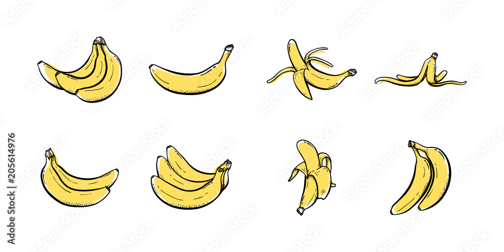 Set of banana hand drawn icon illustration vector Sketch colored collections Set of banana hand drawn icon illustration vector Sketch colored collections