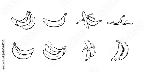 Set of banana hand drawn illustration vector sketch collection line art icon
