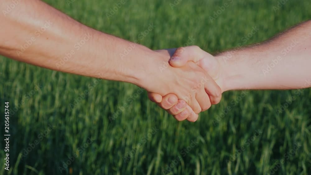 Two farmers shake hands against the background of a green wheat field. Deal in agribusiness concept Two farmers shake hands against the background of a green wheat field. Deal in agribusiness concept
