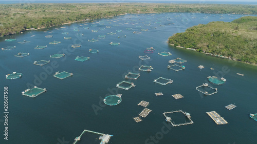 Fish farm with cages for fish and shrimp in the Philippines, Luzon. Aerial view of fish ponds for bangus, milkfish. Fish cage for tilapia, milkfish farming aquaculture or pisciculture practices. photo