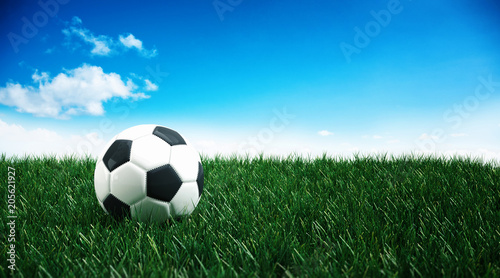 Traditional black and white soccer ball on grass © XtravaganT