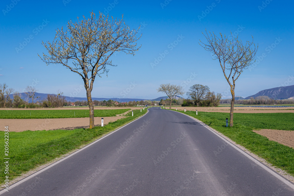 Asphalt road among fields near Eckartsau, Austria