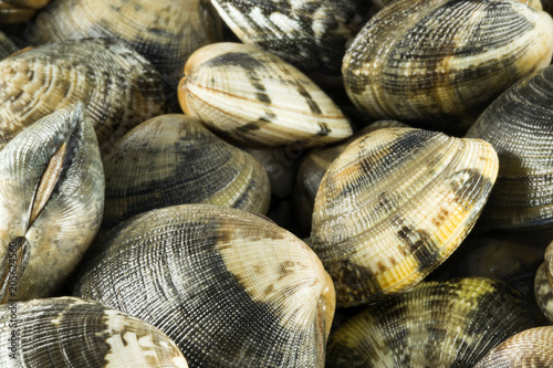 Le Vongole Veraci photo