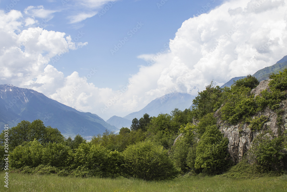Beautiful natural landscape with green grass, trees, mountains and a blue sky with clouds