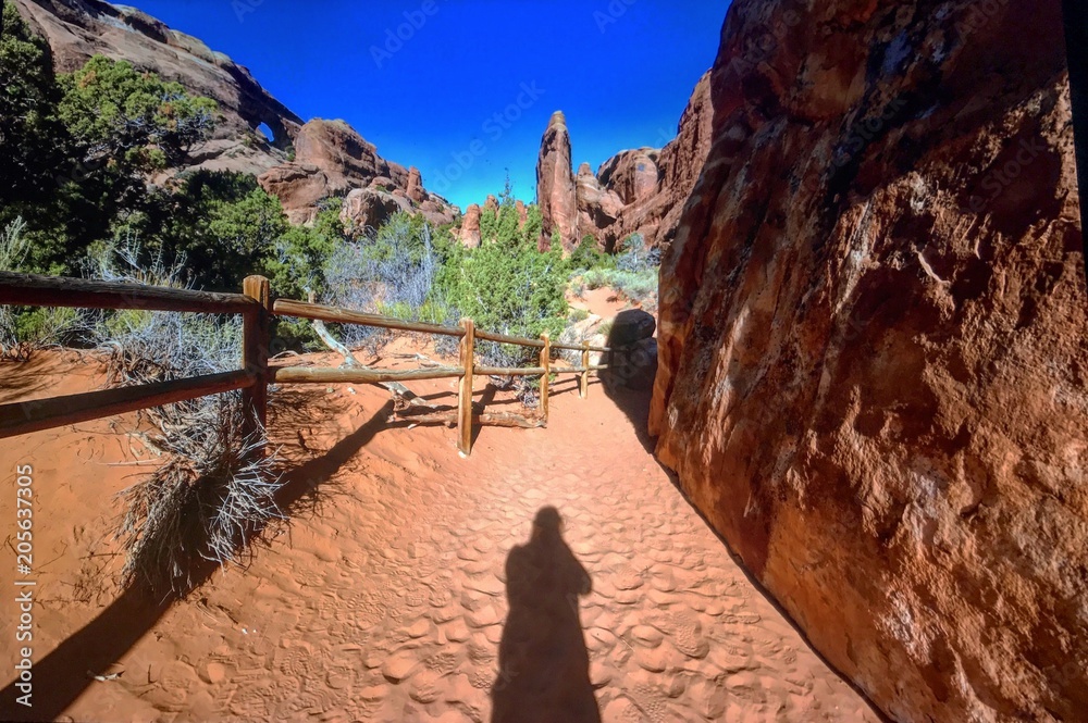 Fototapeta premium Arches National Park in Utah ,USA