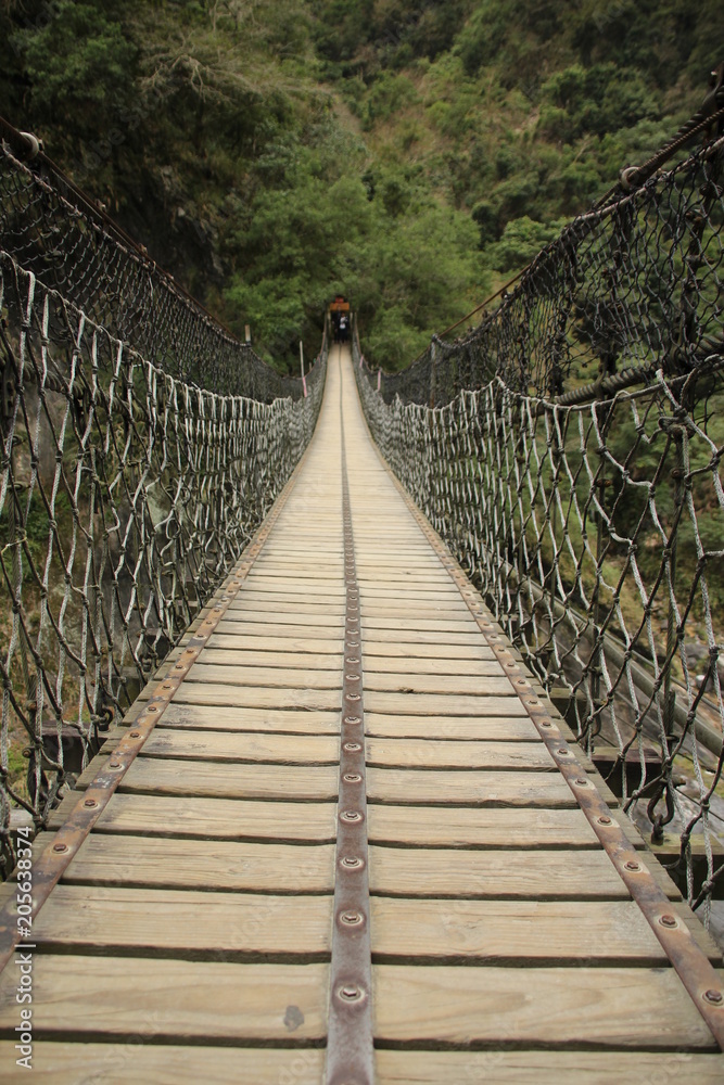 a wooden suspension bridge that ends in a dense jungle area