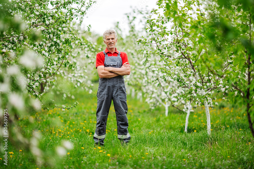 gardener with crossed arms and looking at camera over spring garden background. agriculture and gardeningconcept.