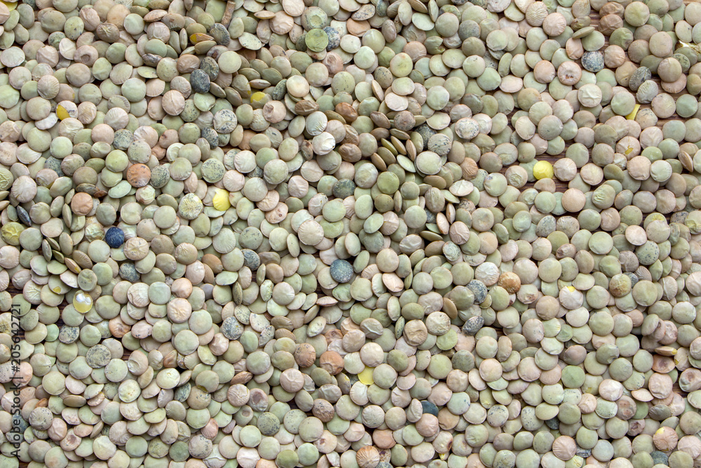 Green lentils close-up.Texture of green lentils Green lentils close-up.Texture of green lentils