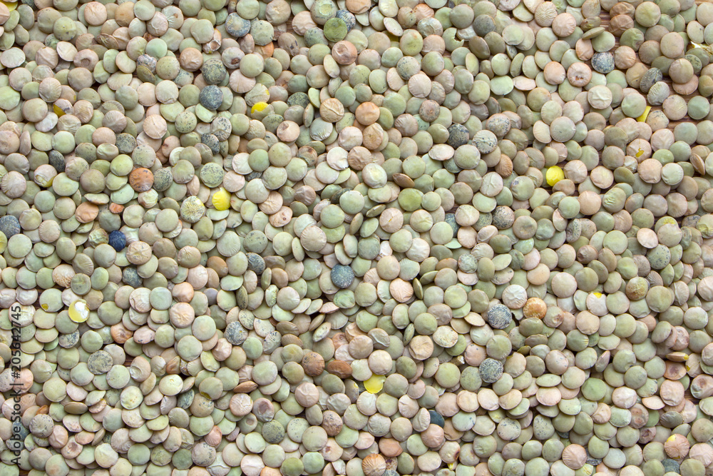 Green lentils close-up.Texture of green lentils Green lentils close-up.Texture of green lentils