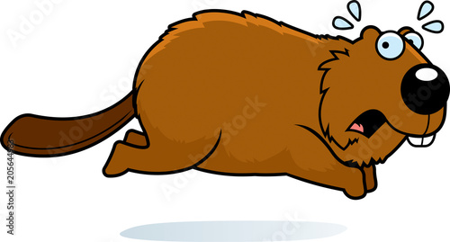 Cartoon Beaver Running Away